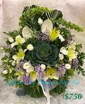 Funeral Flower - A Standard CODE 9249